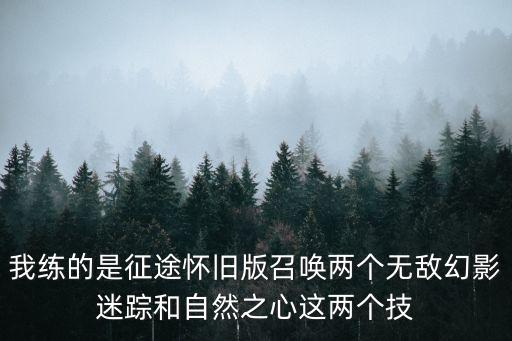 我练的是征途怀旧版召唤两个无敌幻影迷踪和自然之心这两个技