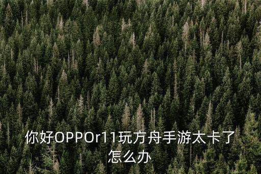 你好OPPOr11玩方舟手游太卡了怎么办