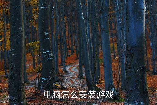 电脑怎么安装游戏