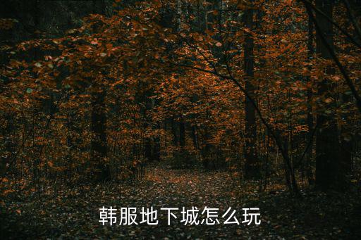 韩服地下城怎么玩