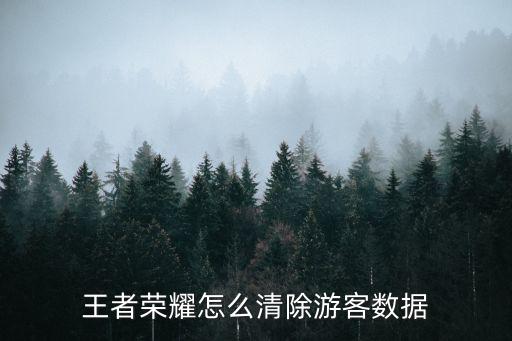 王者荣耀怎么清除游客数据