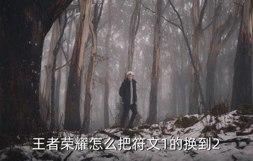 手游怎么换符文格式，王者荣耀进入游戏后怎么更换符文