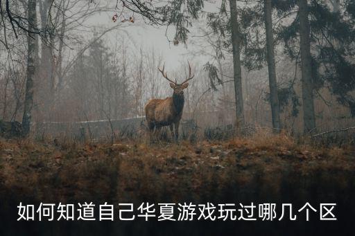 怎么看手游有多少个区，手机游戏大主宰有多少个区