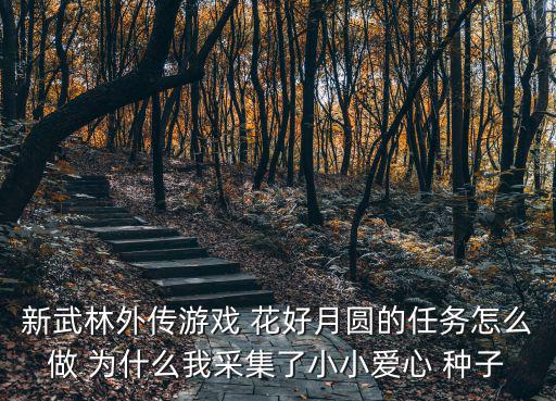 新武林外传游戏 花好月圆的任务怎么做 为什么我采集了小小爱心 种子