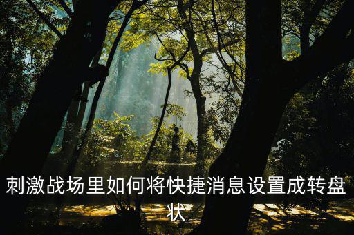 刺激战场里如何将快捷消息设置成转盘状