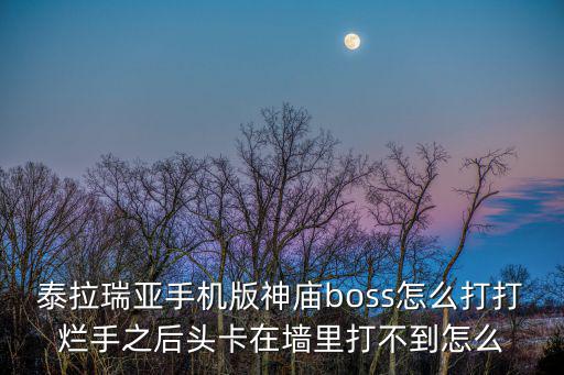 泰拉瑞亚手游版怎么打boss，泰拉瑞亚手机版怎么做BOSS打我扣了又补满血的机关