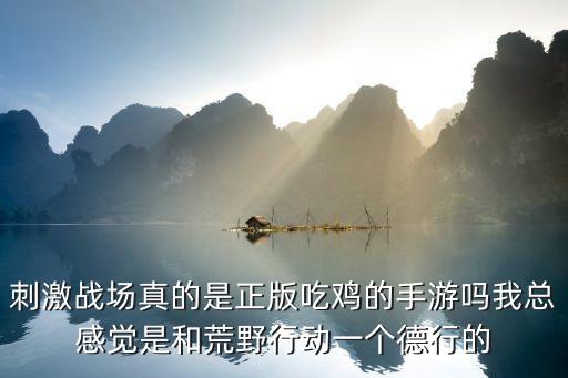刺激战场真的是正版吃鸡的手游吗我总感觉是和荒野行动一个德行的