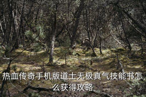 热血传奇手机版道士无极真气技能书怎么获得攻略