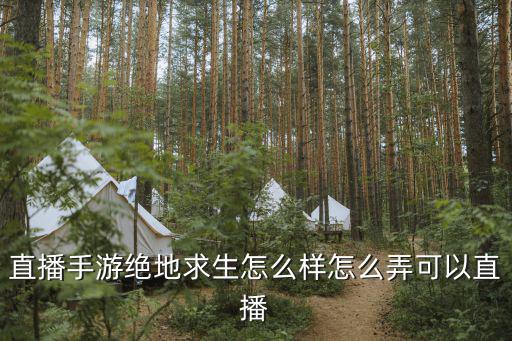 直播手游绝地求生怎么样怎么弄可以直播