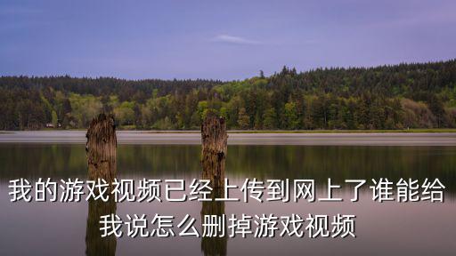我的游戏视频已经上传到网上了谁能给我说怎么删掉游戏视频