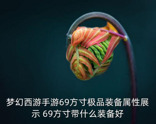 梦幻西游手游69方寸极品装备属性展示 69方寸带什么装备好