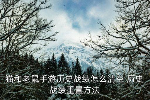 猫和老鼠手游历史战绩怎么清空 历史战绩重置方法