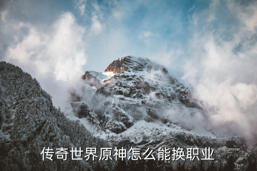 传奇世界原神怎么能换职业