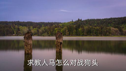 求教人马怎么对战狗头