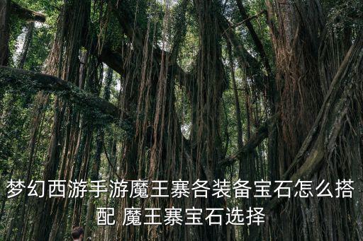 梦幻西游手游魔王寨各装备宝石怎么搭配 魔王寨宝石选择
