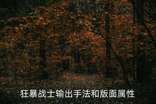 狂暴战士输出手法和版面属性