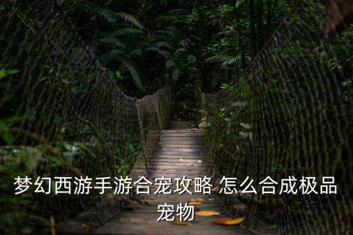 梦幻西游手游合宠攻略 怎么合成极品宠物