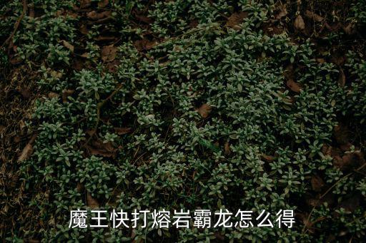 魔王快打熔岩霸龙怎么得