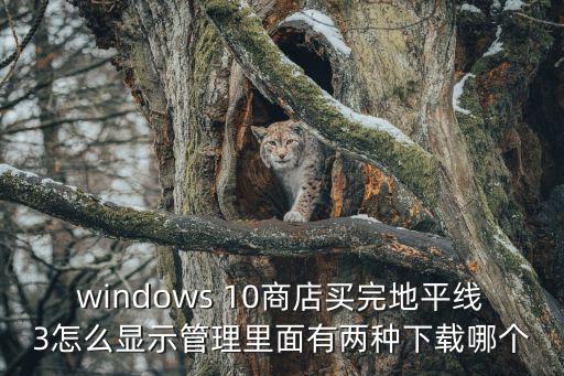地平线手游买的东西怎么下载，淘宝上卖的地平线游戏代币怎么到账