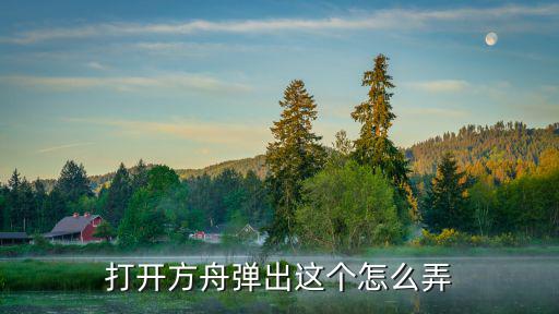 打开方舟弹出这个怎么弄
