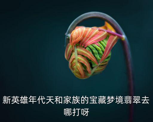 新英雄年代天和家族的宝藏梦境翡翠去哪打呀