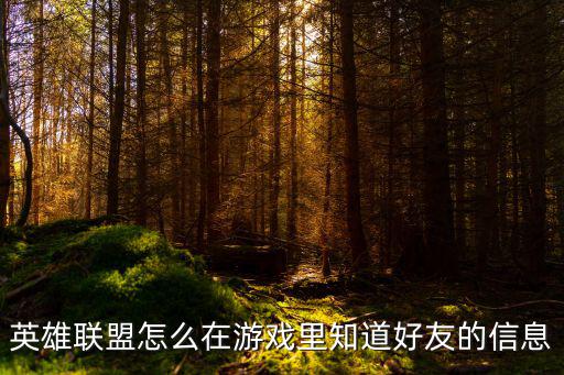 英雄联盟怎么在游戏里知道好友的信息