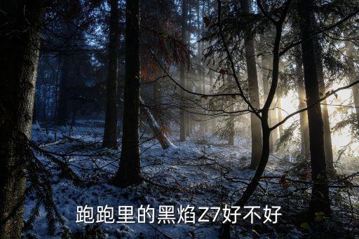 跑跑手游烈焰翔龙怎么改色，跑跑里的黑焰Z7好不好