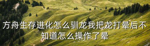 方舟生存进化怎么驯龙我把龙打晕后不知道怎么操作了晕