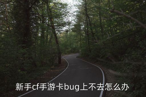 cf手游遇见bug了怎么办，新手cf手游卡bug上不去怎么办