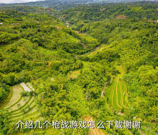 介绍几个枪战游戏怎么下载谢谢