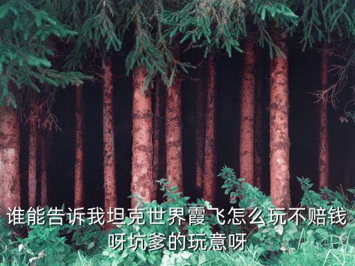 谁能告诉我坦克世界霞飞怎么玩不赔钱呀坑爹的玩意呀