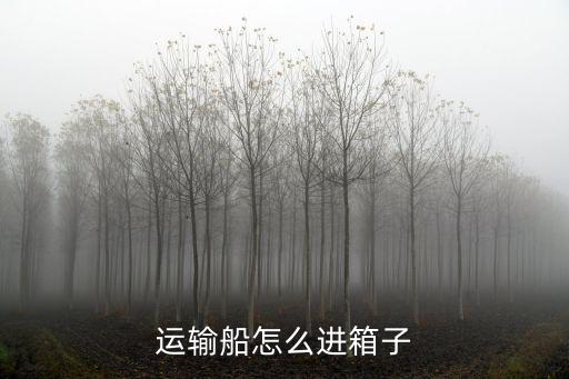 运输船怎么进箱子