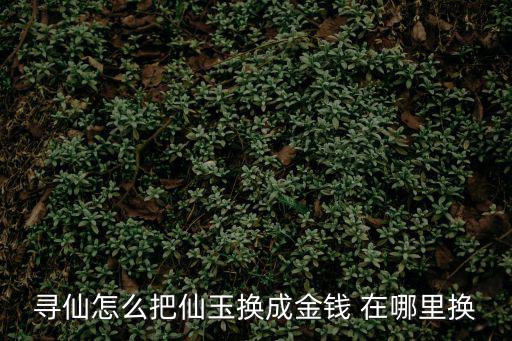 寻仙怎么把仙玉换成金钱 在哪里换
