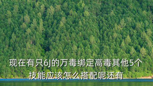 新诛仙手游万毒怎么加点，现在有只6J的万毒绑定高毒其他5个技能应该怎么搭配呢还有