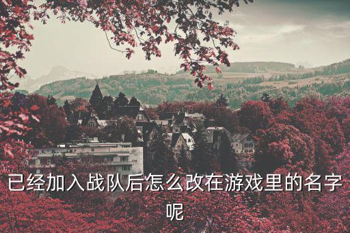 codm手游战队怎么改名字，我战队叫丿羽翼灬惑神 我想知到游戏的名字怎么改才好