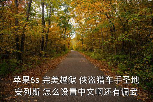 苹果6s 完美越狱 侠盗猎车手圣地安列斯 怎么设置中文啊还有调武