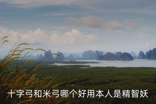 十字弓和米弓哪个好用本人是精智妖
