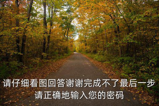 请仔细看图回答谢谢完成不了最后一步请正确地输入您的密码
