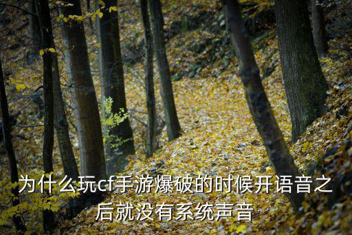 为什么玩cf手游爆破的时候开语音之后就没有系统声音