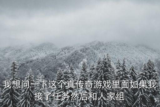 我想问一下这个真传奇游戏里面如果我接了任务然后和人家组