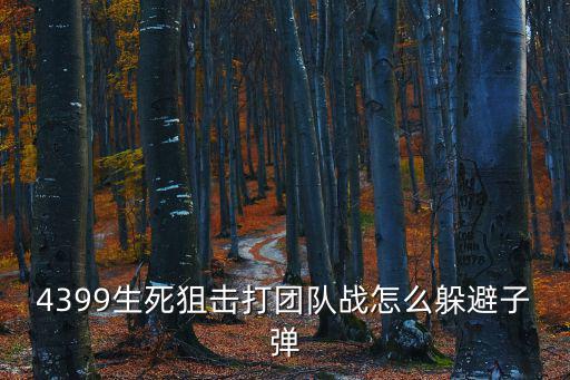 手游生死狙击团战狙击怎么加子弹，4399生死狙击新手没子弹了怎么办