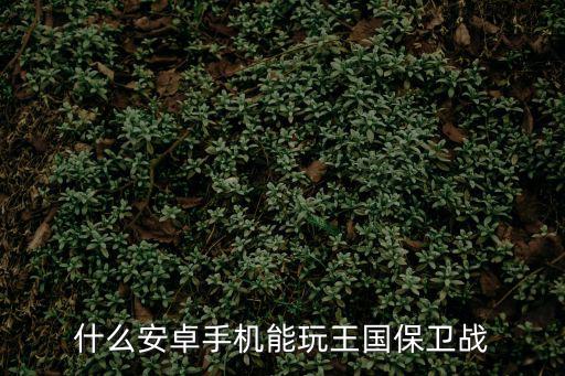 国王保卫战手游版怎么下，什么安卓手机能玩王国保卫战