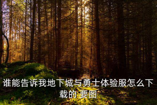谁能告诉我地下城与勇士体验服怎么下载的 要图