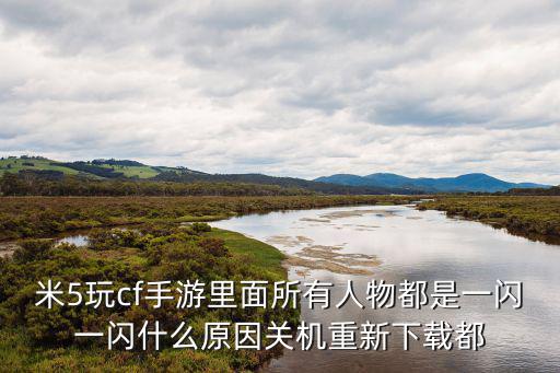 米5玩cf手游里面所有人物都是一闪一闪什么原因关机重新下载都