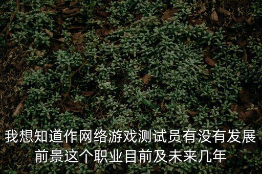 手游运营测试的前景怎么样，软件测试的工作前景好吗