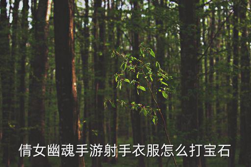 倩女幽魂手游阴阳石怎么弄，倩女幽魂手游中医师的装备怎么打石头