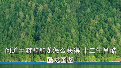 问道手游酷酷龙怎么获取，问道里怎么领取酷酷龙BB