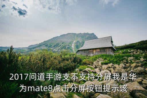 2017问道手游支不支持分屏我是华为mate8点击分屏按钮提示该