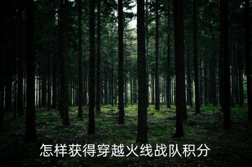 手游cf战队积分怎么索取，游戏里面的战队积分怎么获得