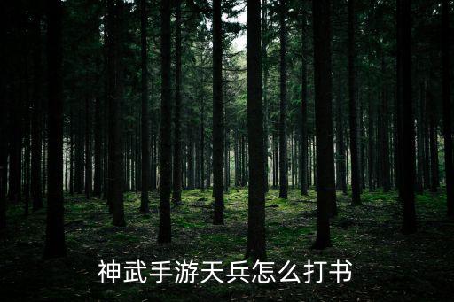 神武手游天兵怎么打书